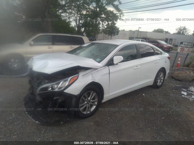 5NPE24AF2HH495116  hyundai sonata 2017 IMG 1