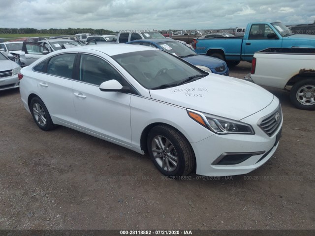 5NPE24AF6HH576801  hyundai sonata 2017 IMG 0