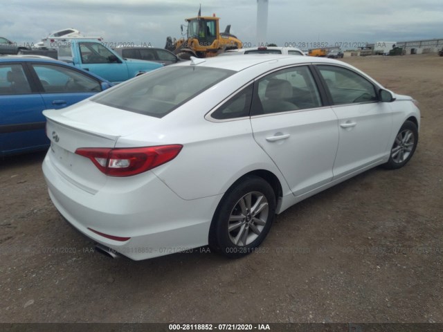 5NPE24AF6HH576801  hyundai sonata 2017 IMG 3