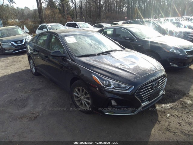 5NPE24AF9JH666501  hyundai sonata 2018 IMG 0