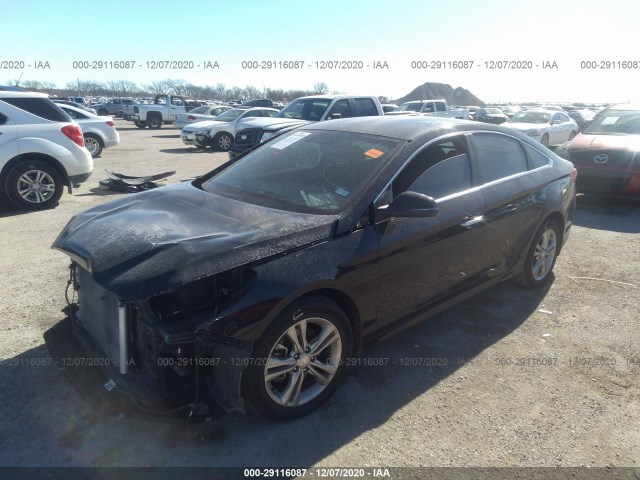 5NPE34AF9JH679777  hyundai sonata 2018 IMG 1