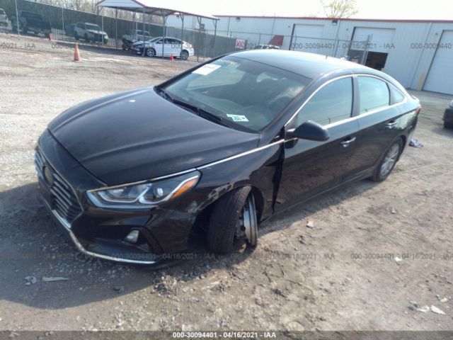 5NPE24AF4JH696568  hyundai sonata 2018 IMG 1