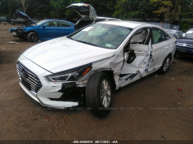 5NPE24AF5KH744922  hyundai sonata 2019 IMG 1