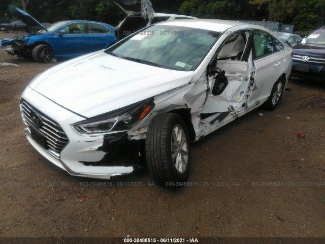 5NPE24AF5KH744922  hyundai sonata 2019 IMG 5