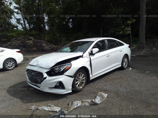 5NPE24AF6JH686480  hyundai sonata 2018 IMG 5