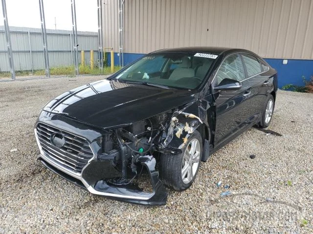 5NPE34AF5JH653113  hyundai sonata 2018 IMG 0