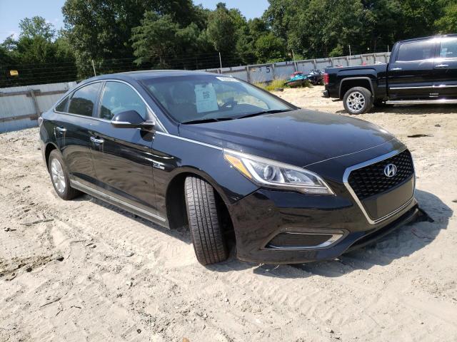 KMHE24L19GA024406  hyundai sonata hyb 2016 IMG 3