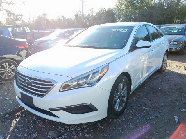 5NPE24AF0GH315839  hyundai sonata se 2016 IMG 1