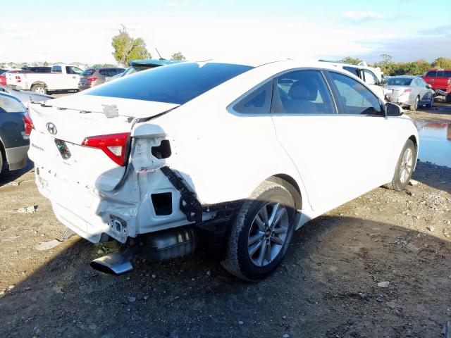 5NPE24AF0GH315839  hyundai sonata se 2016 IMG 3