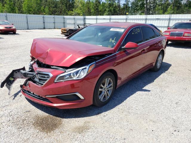 5NPE24AF1GH355718  hyundai sonata se 2016 IMG 1