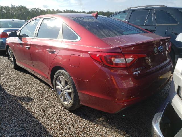 5NPE24AF1GH355718  hyundai sonata se 2016 IMG 2