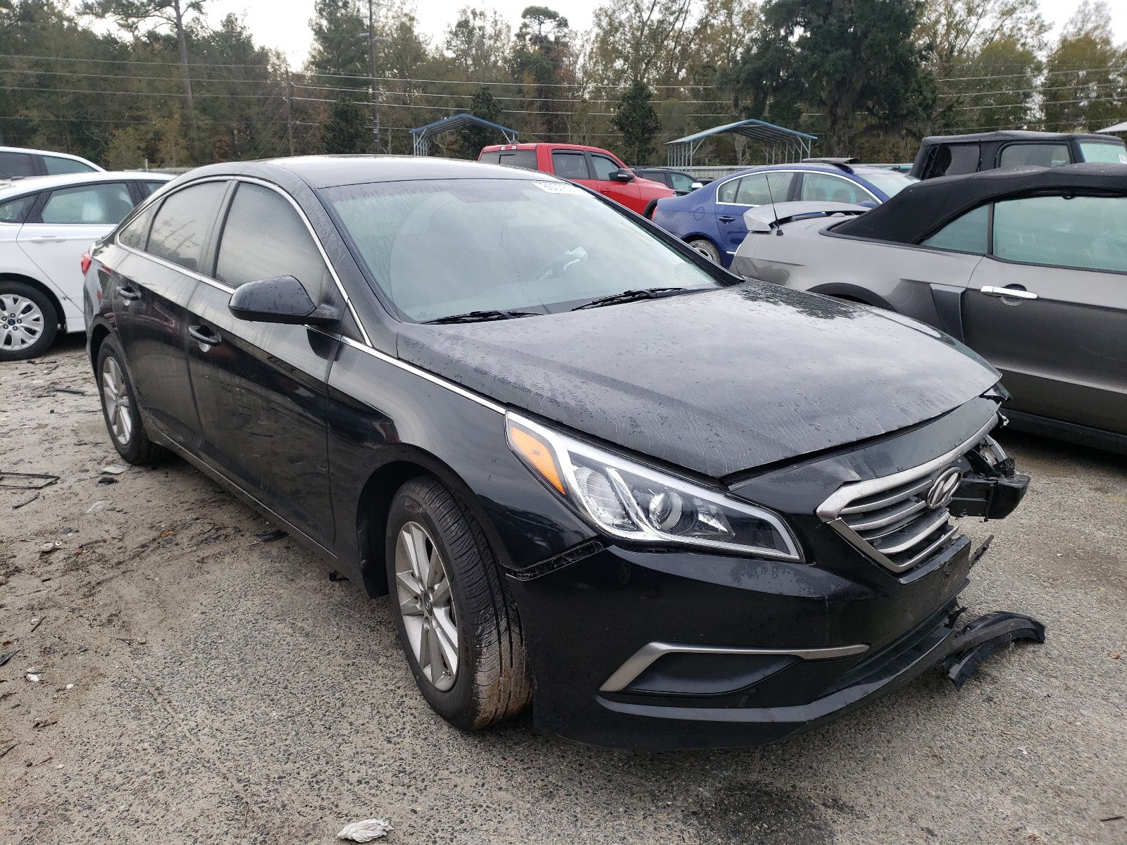 5NPE24AF2GH344758  hyundai sonata se 2016 IMG 0