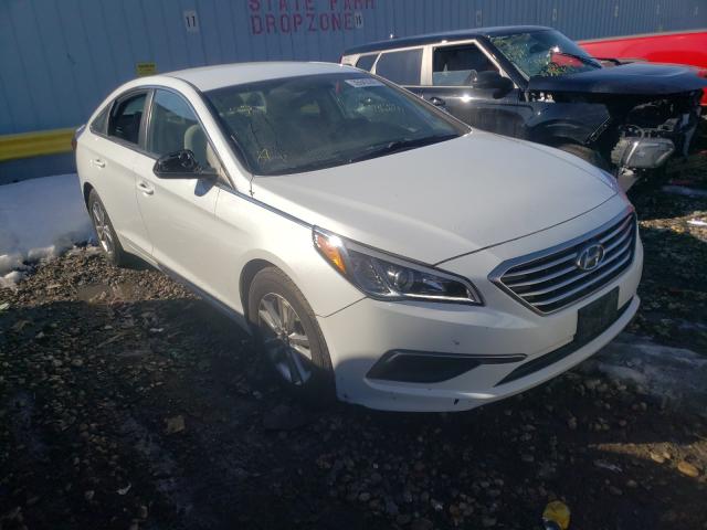 5NPE24AF7GH398086  hyundai sonata se 2016 IMG 0