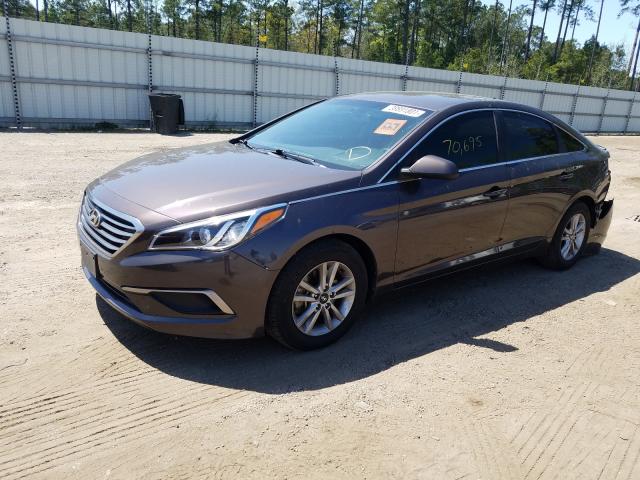 5NPE24AF9GH325172  hyundai sonata se 2016 IMG 1