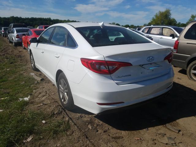 5NPE24AF1HH533533  hyundai sonata se 2017 IMG 2