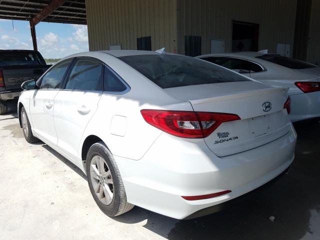 5NPE24AF2HH444604  hyundai sonata se 2017 IMG 2