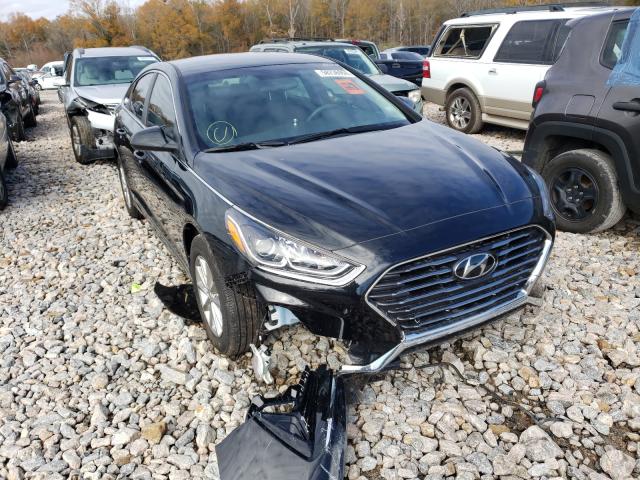 5NPE24AF2JH704196  hyundai sonata se 2018 IMG 0