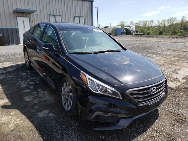 5NPE34AF5GH419420  hyundai sonata spo 2016 IMG 0