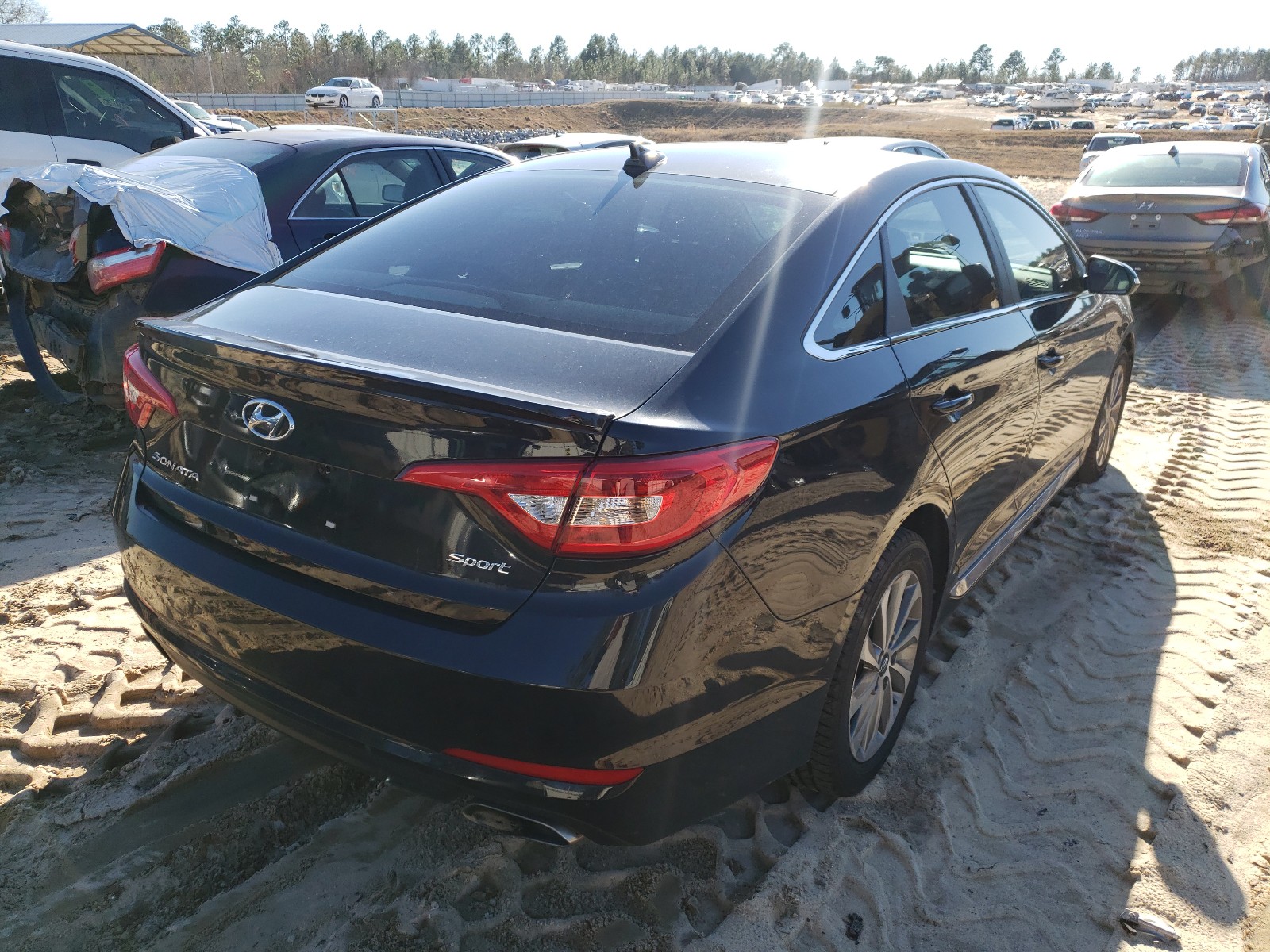 5NPE34AF7HH462741  hyundai sonata spo 2017 IMG 3