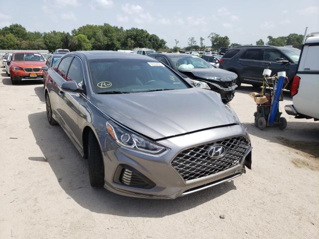 5NPE34AB1JH660217  hyundai sonata spo 2018 IMG 0