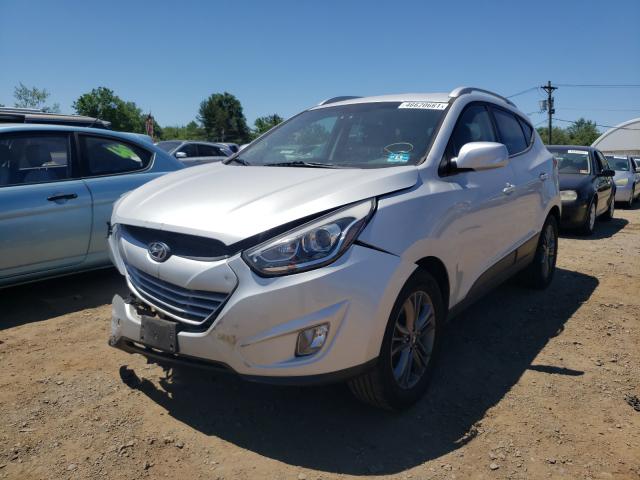 KM8JUCAG1FU975769  hyundai tucson 2014 IMG 1