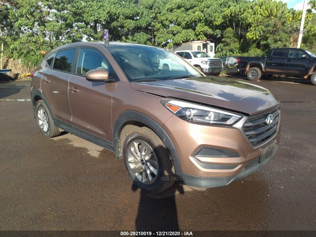 KM8J23A41GU136749  hyundai tucson 2016 IMG 0