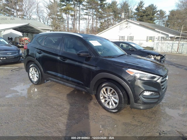 KM8J33A45GU057646  hyundai tucson 2016 IMG 0