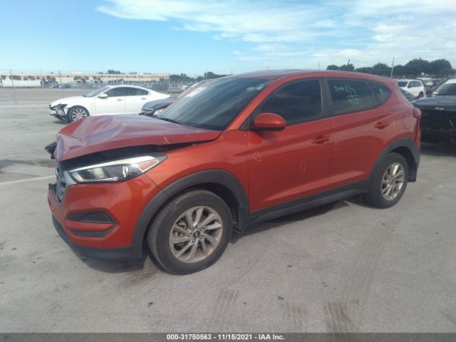 KM8J23A44HU539559  hyundai tucson 2017 IMG 1