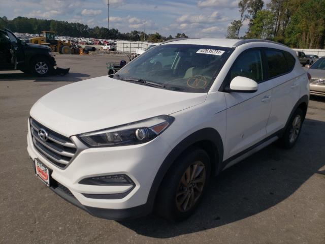 KM8J3CA40HU549101  hyundai  2017 IMG 1