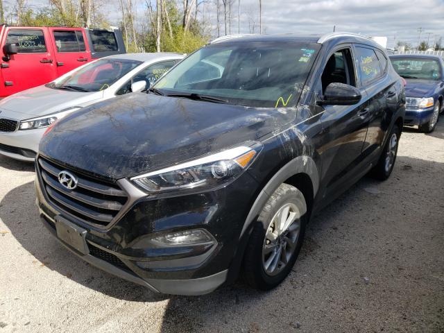 KM8J33A41GU197550  hyundai tucson lim 2016 IMG 1