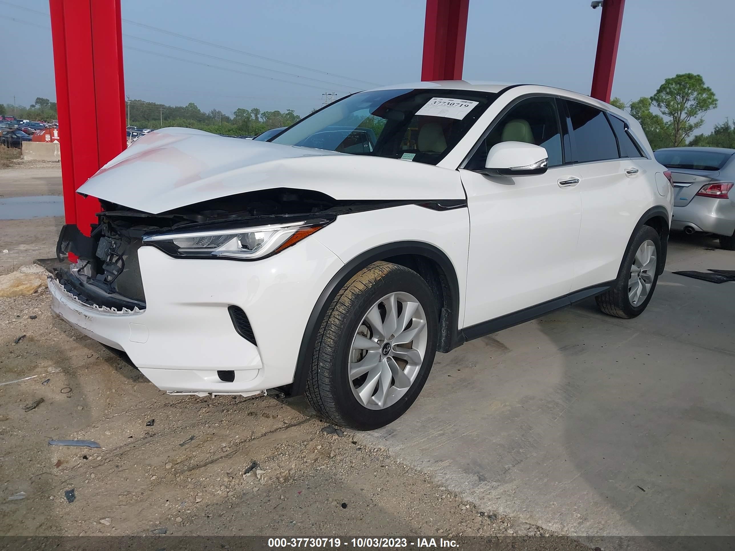 3PCAJ5M17KF112154  infiniti qx50 2019 IMG 1