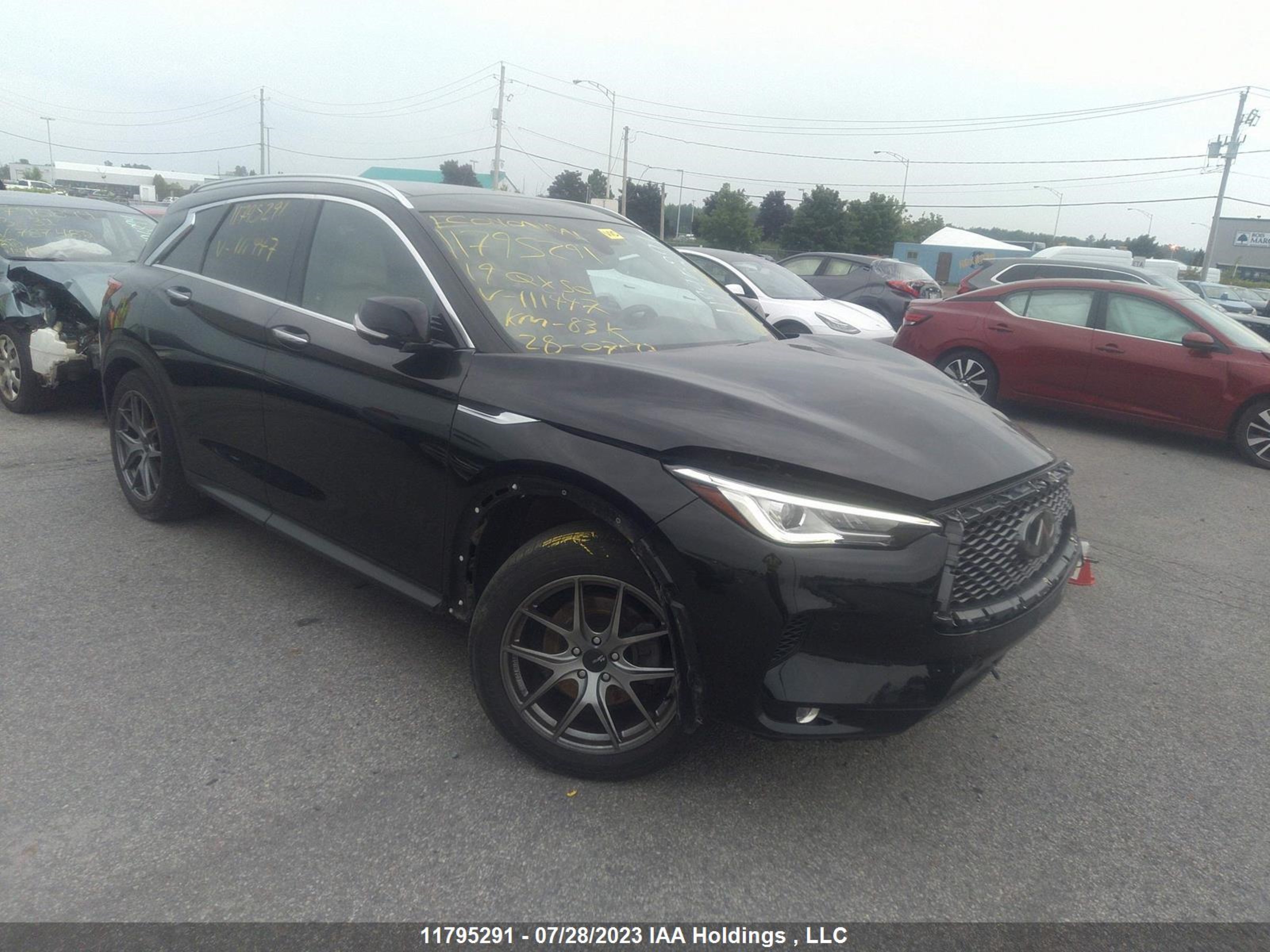 3PCAJ5M34KF111447  infiniti qx50 2019 IMG 0