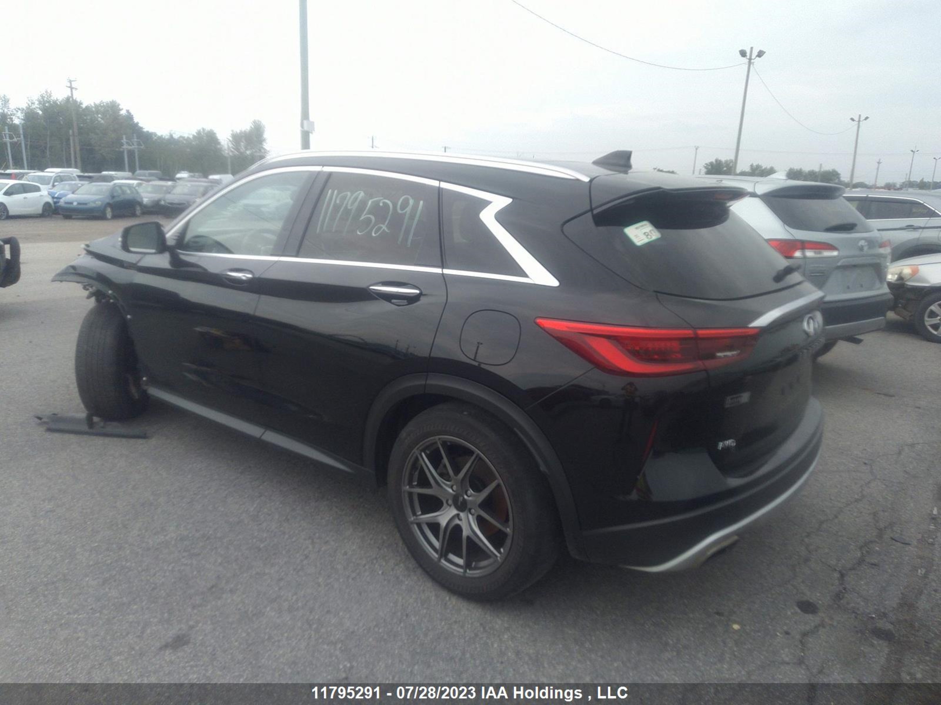 3PCAJ5M34KF111447  infiniti qx50 2019 IMG 2