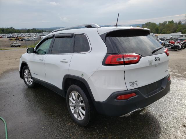 1C4PJMDS8HW595154  jeep cherokee 2016 IMG 2