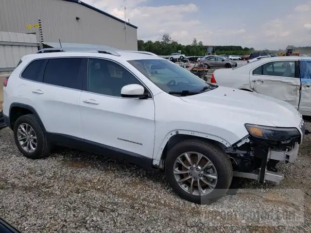 1C4PJLLB0KD202021  jeep cherokee 2019 IMG 3