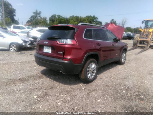 1C4PJMLN0KD162085  jeep cherokee 2019 IMG 3