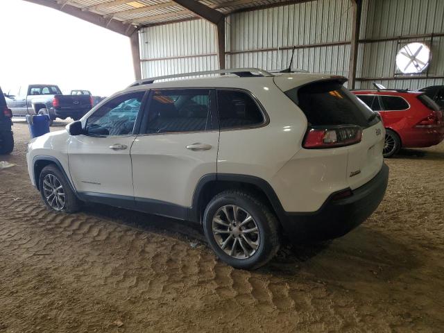 1C4PJLLB5KD393306  jeep cherokee 2019 IMG 1