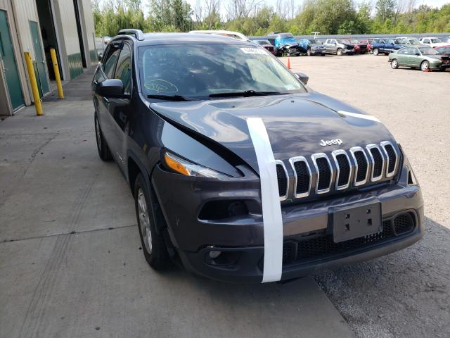 1C4PJMCB2FW792738  jeep cherokee l 2015 IMG 0