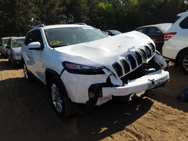 1C4PJMDS6FW650178  jeep cherokee l 2015 IMG 0