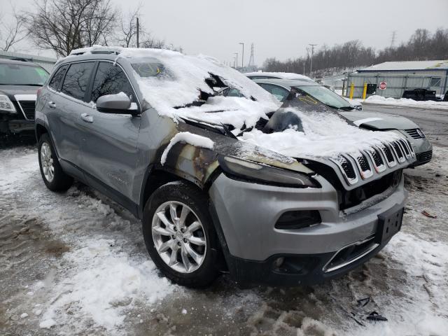 1C4PJMDB9GW289174  jeep cherokee l 2016 IMG 0