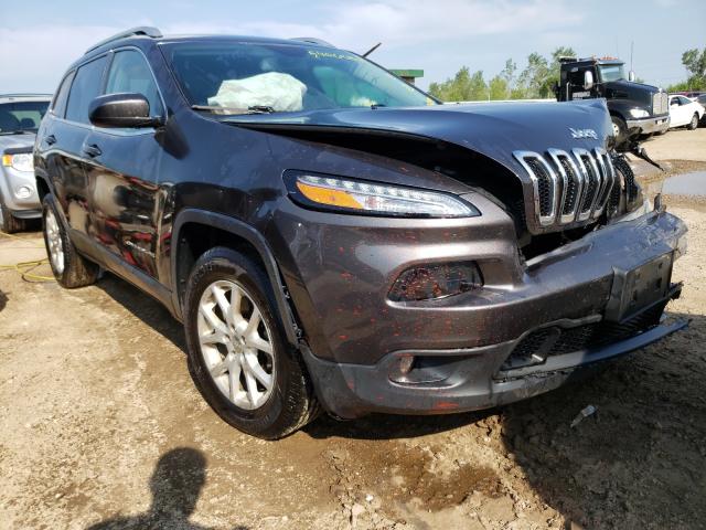 1C4PJMCB3HW557249  jeep cherokee l 2017 IMG 0