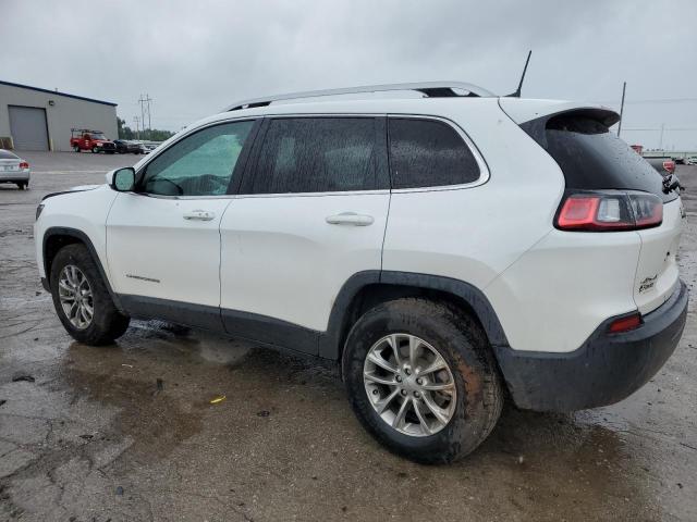 1C4PJMLB6KD309273  jeep cherokee l 2019 IMG 1