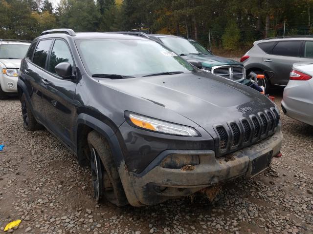 1C4PJMBS1HW622245  jeep cherokee t 2017 IMG 0