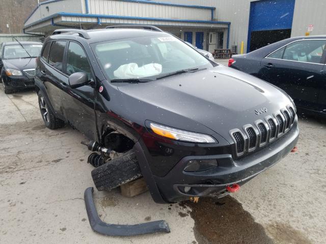 1C4PJMBS6HW569204  jeep cherokee t 2017 IMG 0