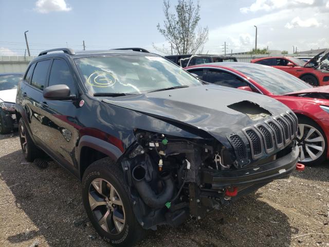 1C4PJMBS6HW582289  jeep cherokee t 2017 IMG 0