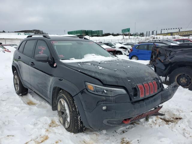 1C4PJMBX9KD427248  jeep cherokee t 2019 IMG 0