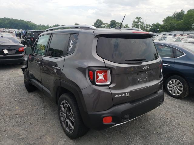 ZACCJBDT9GPC92665  jeep renegade 2015 IMG 2