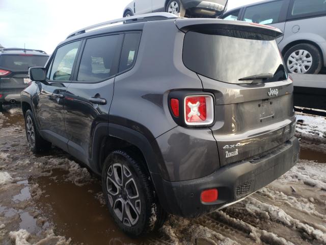 ZACCJBDB5HPG61191  jeep renegade 2017 IMG 2