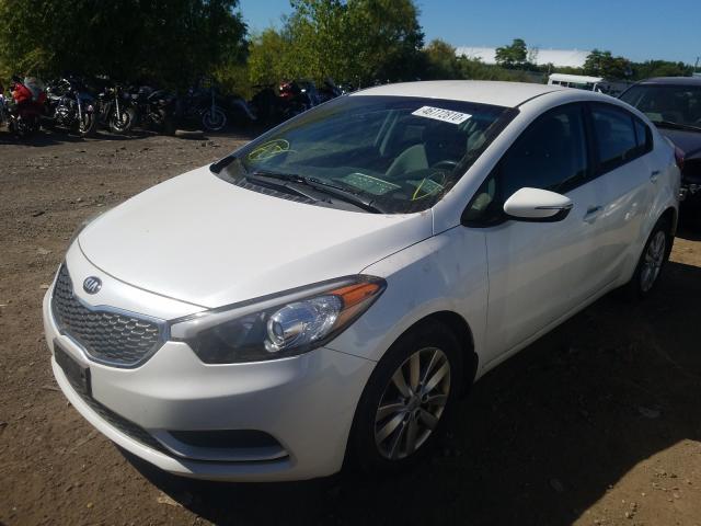 KNAFX4A6XE5137566  kia  2014 IMG 1