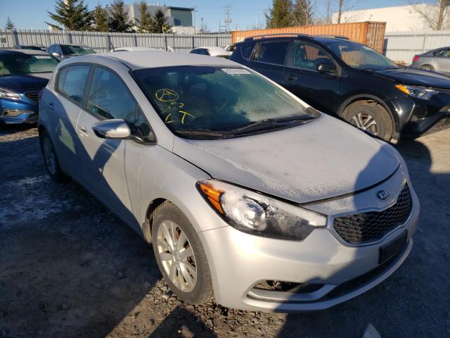 KNAFK5A8XG5658599  kia forte 2016 IMG 0